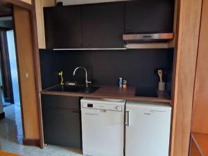 eine kleine Küche mit Spüle und Geschirrspüler in der Unterkunft Appartement lumineux au pied des pistes avec WiFi - FR-1-292-173 in Isola