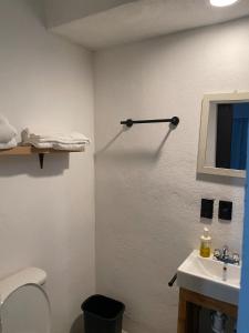 un bagno con un water e un lavandino di DGM Lofts GPE 3 Parque Fundidora a Monterrey