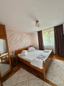 a bedroom with a large bed and a ladder at Pensiunea Angelica in Baia de Fier