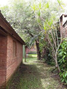 a yard with a brick building and a tree at Casa Leo in Paso de la Patria