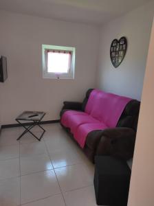ein Wohnzimmer mit einer Couch mit einer rosa Decke in der Unterkunft Maison 4 voyageurs proche circuit Mirecourt 
