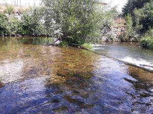 Príroda v okolí apartmánu
