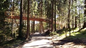 Príroda v okolí apartmánu
