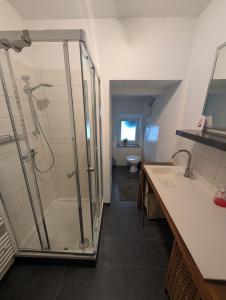 a bathroom with a shower and a sink and a toilet at Meisterhaus Appartment 9 in Glauchau +8 photos