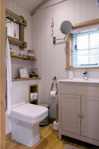 a bathroom with a toilet and a sink at Herbie's Shepherd's Hut - Wellness & Hot Tub in Bottesford