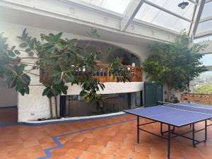 Una mesa de tenis en una habitación con plantas. en Dpto en Condominio bahía de rosas - Algarrobo, en Algarrobo