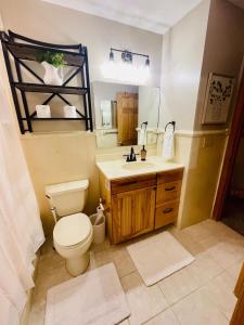 a bathroom with a toilet and a sink and a mirror at Apple Valley Gables-Cozy mountain home with views in Hendersonville