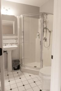 a bathroom with a shower and a toilet and a sink at Audubon Acres l pool table & outdoor dining in Benton Harbor +51 photos