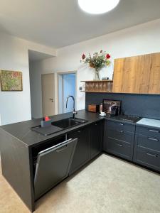 - une cuisine avec des placards noirs et un évier dans l'établissement Villa Monica v Penati Golf Resort, à Šajdíkove Humence 7 autres photos
