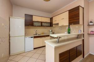 Kuchyň nebo kuchyňský kout v ubytování Apartment in Crikvenica 39218