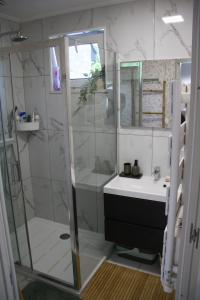 a bathroom with a shower and a sink at Studio a Bois-Bernard 62320 in Bois-Bernard
