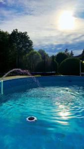 Piscina de la sau aproape de Agroturystyka Anna