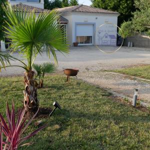 a palm tree in a yard next to a house at L'Enclos de La Grande Flûte 