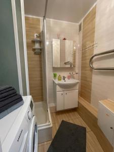 a small bathroom with a shower and a sink at Daina in Ventspils