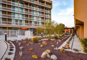un jardín frente a un edificio en Holiday Inn Oxnard - Ventura by IHG, en Oxnard