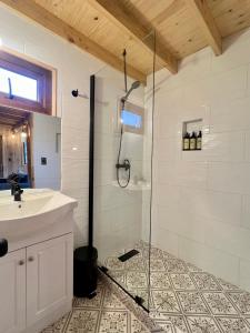 a bathroom with a shower and a sink at Cabañas Bosque las Trancas in Las Trancas +59 photos