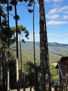 Billede fra billedgalleriet på Chalé Portal Villas 03 i Monte Verde