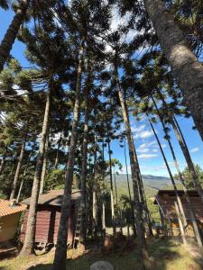 Billede fra billedgalleriet på Chalé Portal Villas 03 i Monte Verde + 12 billeder