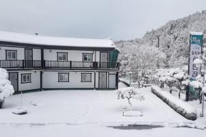 White House in Forest v zimě