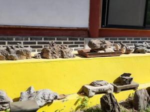 a group of rocks sitting on a yellow counter at Chiak Moutain Hanok Pension in Wonju