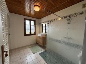 ein Badezimmer mit Dusche und Waschbecken in der Unterkunft Maison chaleureuse avec spa en montagne bourbonnaise - FR-1-489-534 in La Chabanne + 27 Fotos