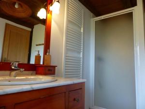 a bathroom with a sink and a mirror at Ferme rénovée du 19e avec grande terrasse, charme et confort en pleine nature - FR-1-489-392 in Lurcy-Lévis