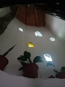 Fotografie z fotogalerie ubytování Refugio Capullos de Luna v destinaci Palmilla