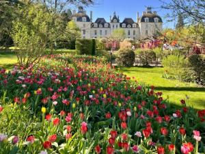 a garden of flowers with a large building in the background at Gîte familial en Sologne avec grand jardin, jeux pour enfants et proche des châteaux et commerces. - FR-1-491-373 in Mur-de-Sologne