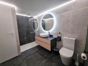 a bathroom with a sink and a toilet and a mirror at Gîte chaleureux au Bessat pour 6 à 8 pers., animaux admis, grand jardin - FR-1-496-350 in Le Bessat +27 photos