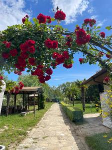 a bunch of red roses hanging from a tree at Family Paradise in Laguna Beach Hotel in Sozopol +18 photos