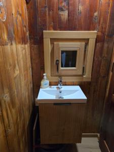 un baño con lavabo y espejo en Koča Pastirica - Velika planina, en Stahovica