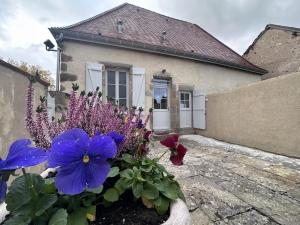 a house with purple and blue flowers in front of it at Gîte historique rénové avec jardin et WiFi - FR-1-489-571 in Theneuille