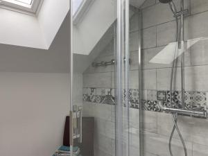 a shower with a glass door in a bathroom at Gîte familial à la ferme avec terrasse - chevaux, poneys, proche Montluçon et thermes Néris les Bains - FR-1-489-430 in Sauvagny