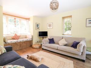 een woonkamer met twee banken en een kat op de vloer bij Cherry Garden Cottage in Cranbrook