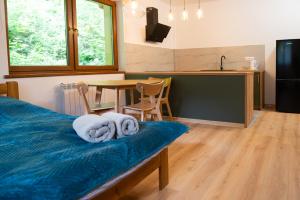 Kuchyňa alebo kuchynka v ubytovaní KANIA Apartamenty - Zakopane