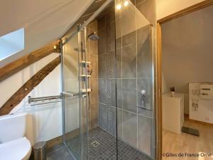 a bathroom with a shower with a toilet at Charmante longère avec jardin et wifi - FR-1-497-216 in Saint-Martin-des-Pézérits