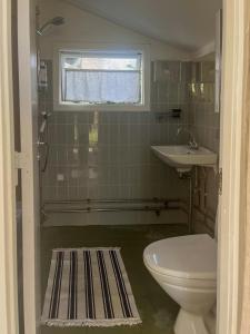 a bathroom with a toilet and a sink at Nature-Rich 60S Holiday Home By Isefjord in Jægerspris