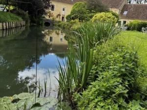 a pond in the middle of a yard with plants at Maison de charme avec cheminée au cœur du Parc Naturel du Perche - FR-1-497-235 in Loisail +28 photos