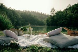 a picnic set up on the grass next to a lake at Traditional Apartment In The Heart Of Umbria in Poggio Aquilone