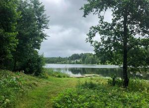 Una vista de un lago con árboles y el agua. en Cozy Cottage By Töcksfors Lakes, en Töcksfors
