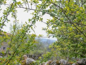 Gallery image of Gîte Authentique avec Terrasse et Animaux Admis - FR-1-496-290 in Saint-Julien-la-Vêtre