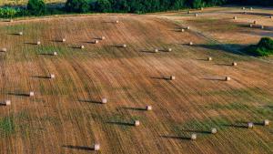 een veld met hooibalen in het gras bij Agriturismo I Debbi in Bibbona