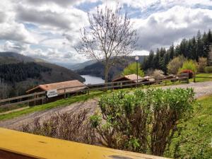 Φωτογραφία από το άλμπουμ του Chalet 35m² avec Terrasse Privée, Animaux Admis - FR-1-496-245 σε Saint-Rirand