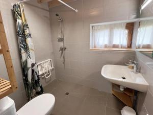 un bagno con lavandino, WC e doccia di Gîte chaleureux avec terrasse, pêche, randonnées et équipements modernes au cœur du Haut Forez - FR-1-496-285 a Les Salles Altre 11 foto