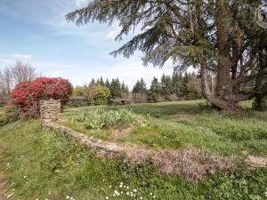 Gîte 65 m² avec cheminée, terrasse et jeux pour enfants - FR-1-496-283 في Saint-Médard-en-Forez: جدار حجري في حقل به شجرة +4 صور