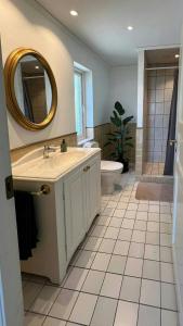 een badkamer met een wastafel, een toilet en een spiegel bij Swedish Timber House Overlooking Lake Arresø in Helsinge +24 foto's