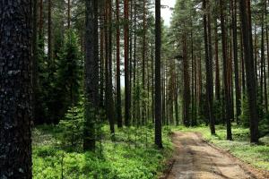 Naturlandskabet i nærheden af feriehuset + 8 billeder