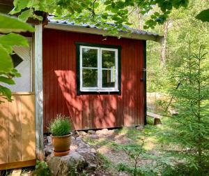 a red shed with a window in a yard at Off-Grid Cabin In Your Private Swedish Forest in Simlångsdalen +10 photos