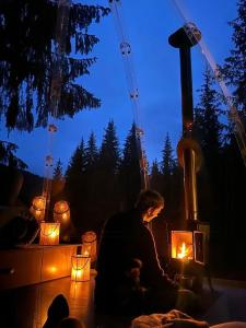 Gambar di galeri bagi Floating Glass Cabin In The Treetops Of Lårdal di Høydalsmo