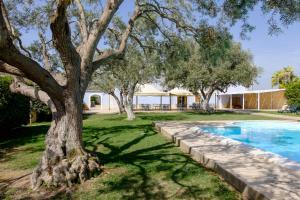 a tree next to a swimming pool in a yard at Tenuta Arangio Agriturismo Vendicari in Casa Maccari